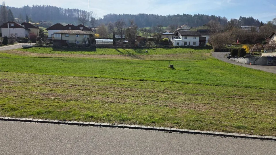 4592 m2 BAULAND Heinimoos an ruhiger Lage