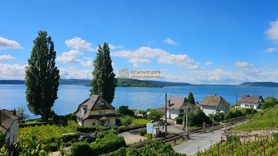 Charmantes Winzerhaus mit Seesicht – Wohnen in privilegierter Lage