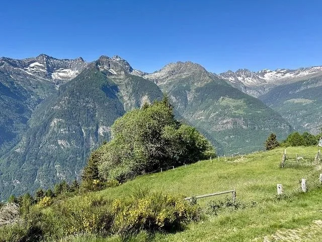 6 1/2-Zimmer-Rustico-Chalet mit Panorama-Bergsicht / bel rustic... – Foto 6 von 14