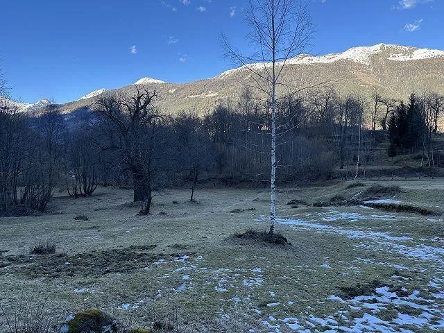Wiesengrundstück von 2444 m2 an sehr ruhiger Lage / prato di 2444 m...