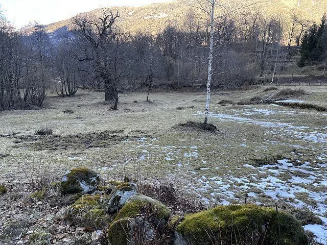 Wiesengrundstück von 2444 m2 an sehr ruhiger Lage / prato di 2444 m...