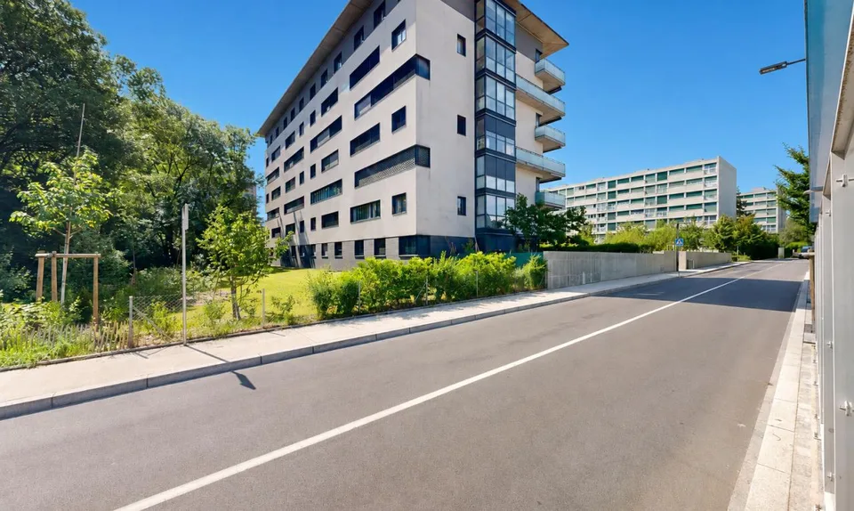 5 pièces idéalement situé au cœur de Grand-Lancy