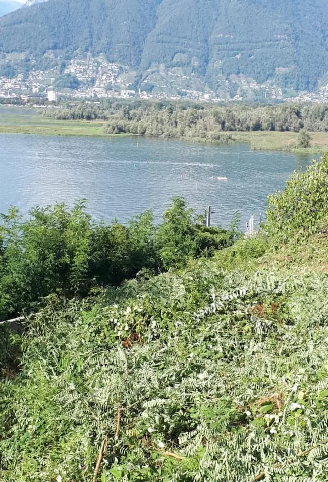 Terreno edificabile con vista panoramica sul Lago Maggiore e sulle ...
