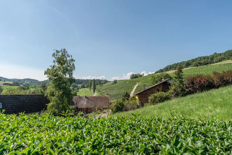„In Altdorf ist die Welt noch in Ordnung" – Foto 12 von 13