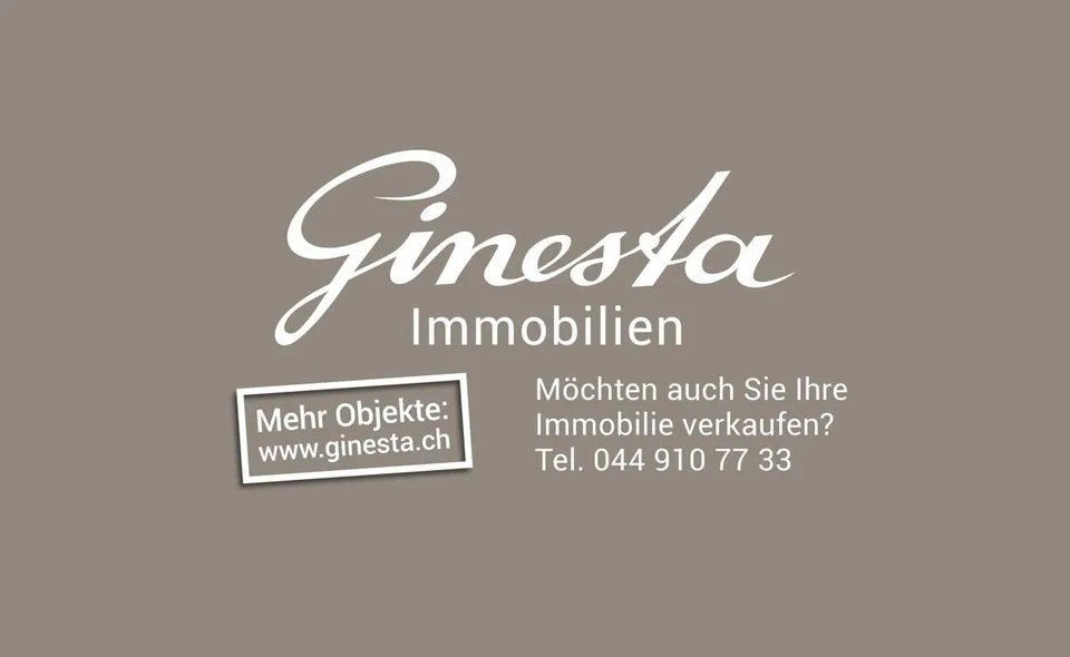 Wädenswil: Attraktive Etagenwohnung mit Weitblick