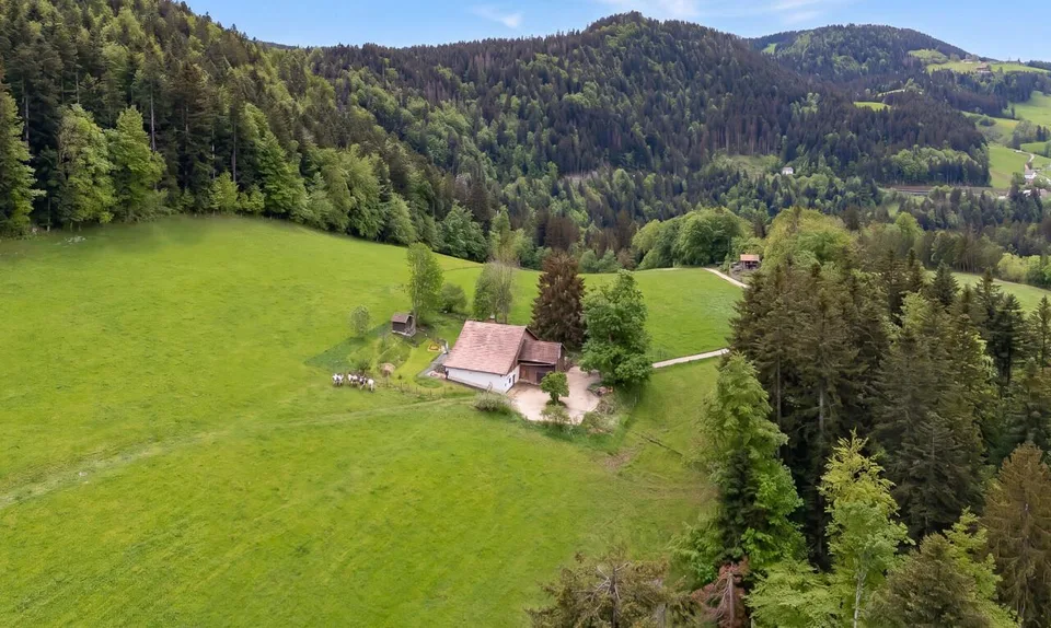 Ferme 1640 rénovée : 2 appts + immense grange à fort potentiel