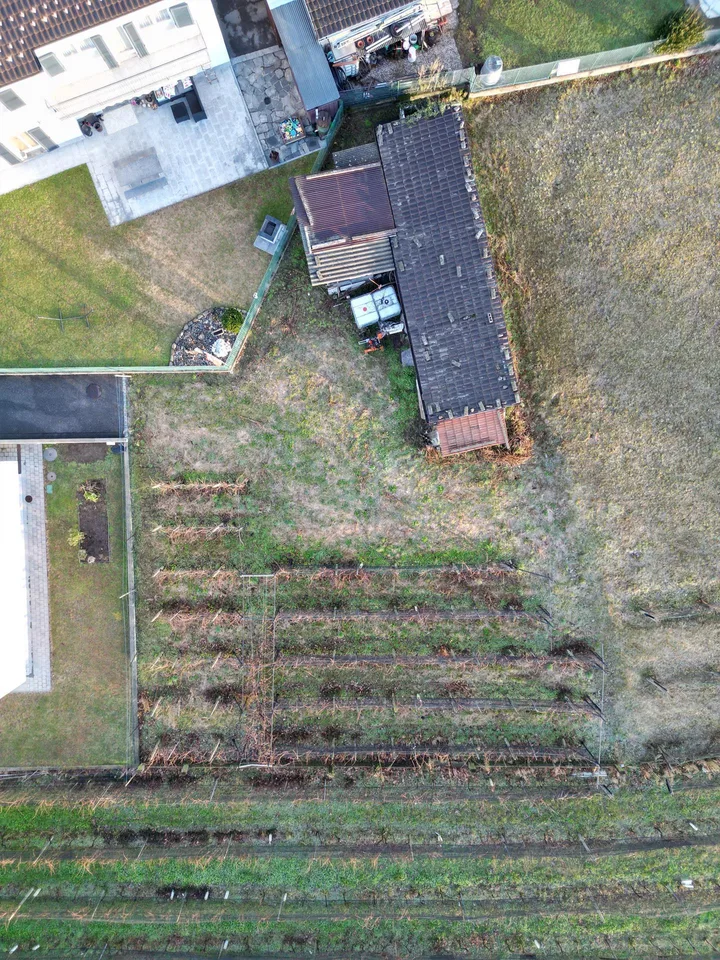 TERRENO EDIFICABILE CASTEL SAN PIETRO CON PROGETTO APPROVATO
