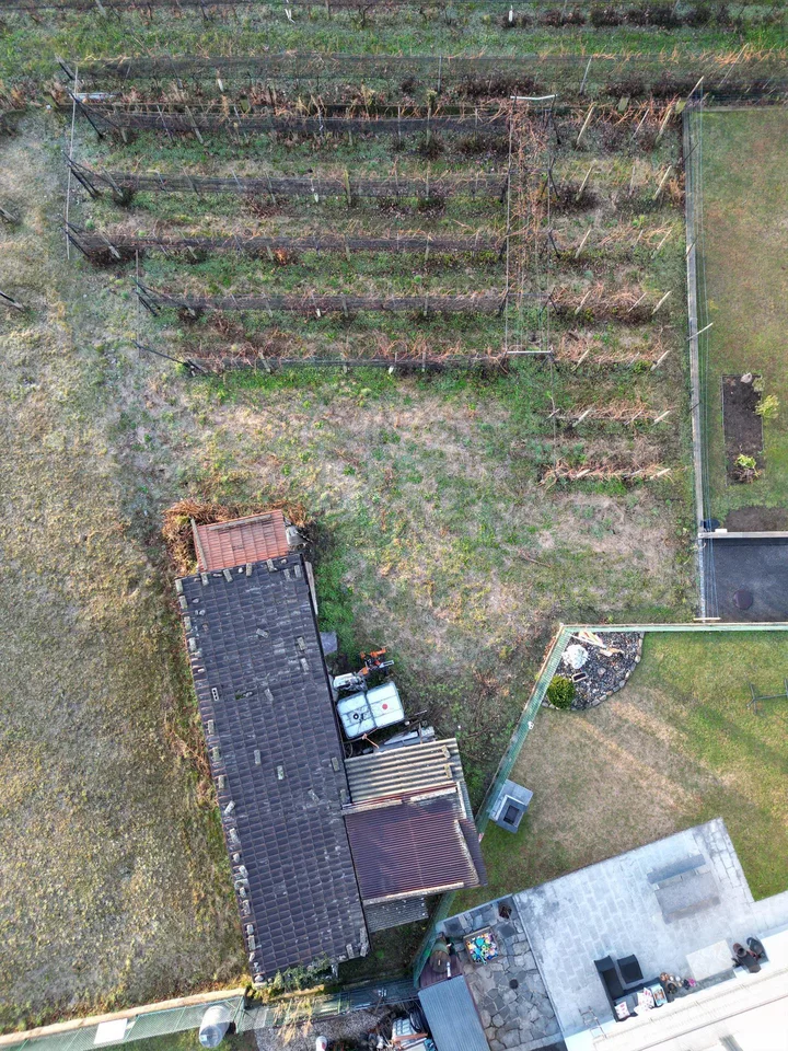 TERRENO EDIFICABILE CASTEL SAN PIETRO CON PROGETTO APPROVATO
