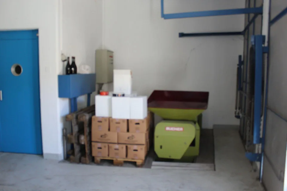 Dépôt | Cave à vin | Local de stockage équipé | Salquenen