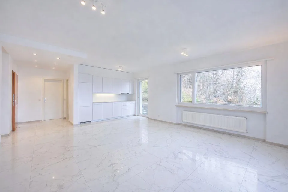 Splendido appartamento con terrazzo e vista lago ad Lugano Aldesago