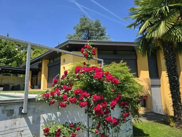 Esclusiva Villa con Piscina e Giardino nel Cuore Verde di Lugano - ... – Foto 6 von 13