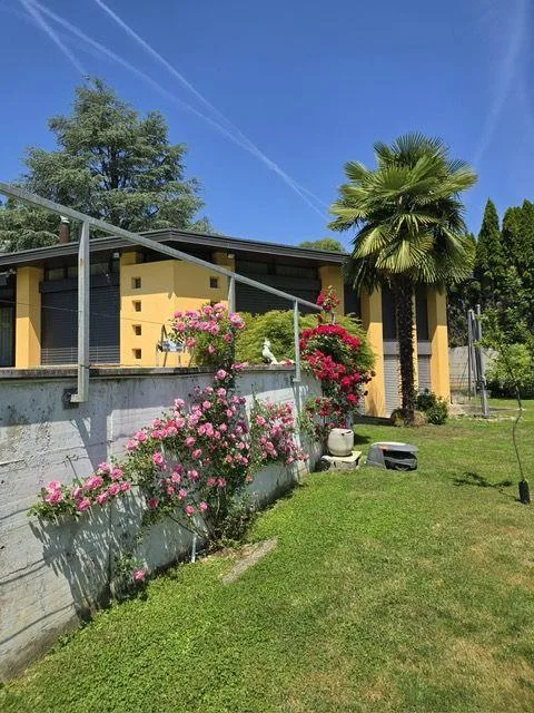 Esclusiva Villa con Piscina e Giardino nel Cuore Verde di Lugano - ... – Foto 9 von 13
