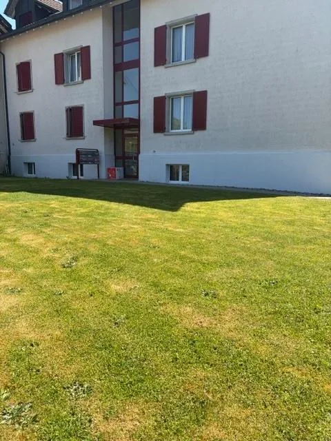 4 1/2 Zimmerwohnung im Dochgeschoss