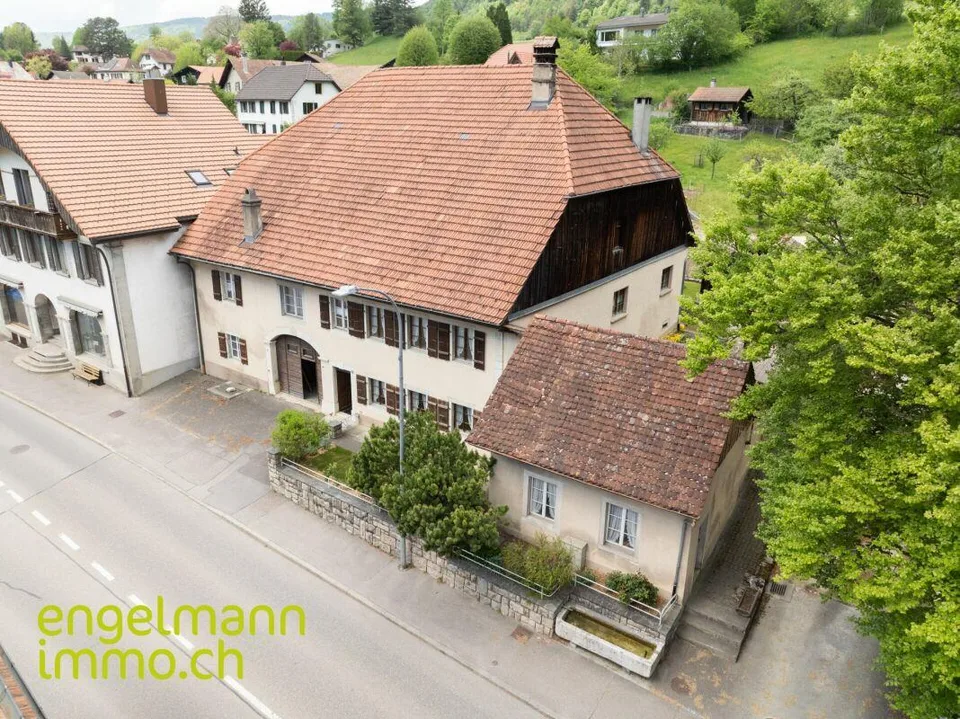 Ancienne ferme de 2 appartements avec grand terrain constructible /...