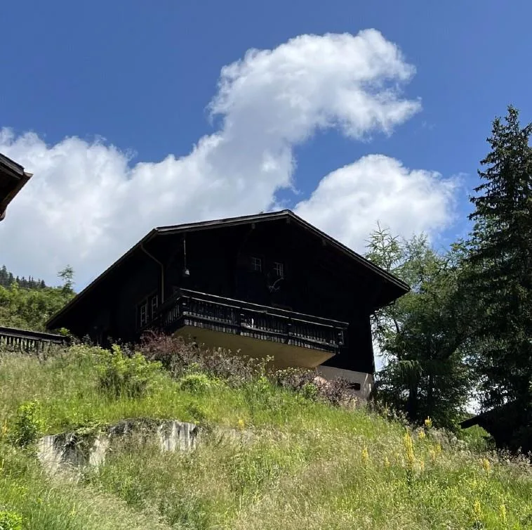Charmantes Chalet über den Dächern von Binn – photo 15 sur 15