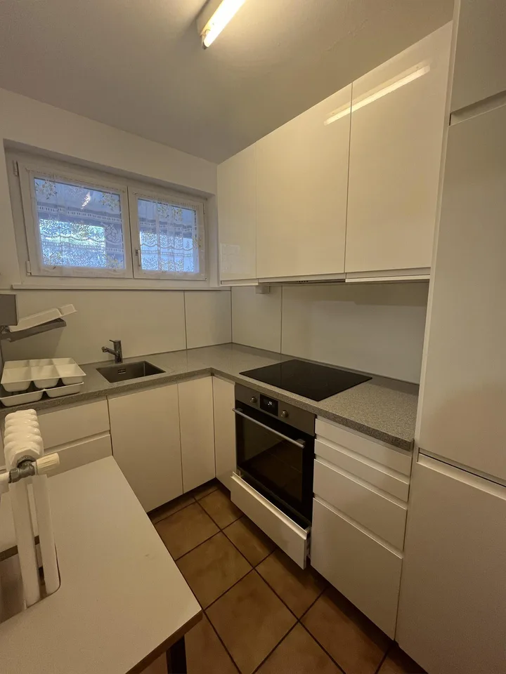 Ruhige 2,5-Zimmer-Wohnung in Agno / Zweitwohnsitz möglich  /Vendiam...