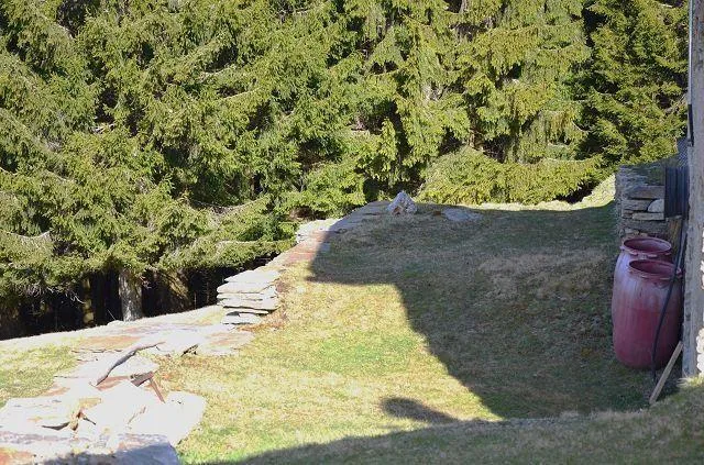 3-Zimmer-Rustico in der Natur an sehr sonniger Aussichtlage / Belli... – Foto 19 von 30