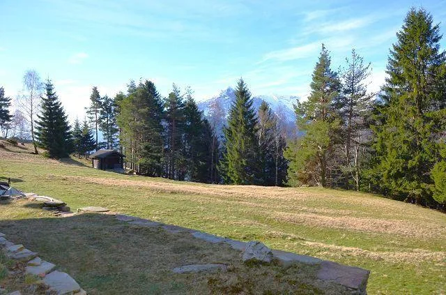 3-Zimmer-Rustico in der Natur an sehr sonniger Aussichtlage / Belli... – Foto 25 von 30