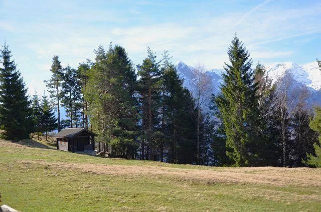 3-Zimmer-Rustico in der Natur an sehr sonniger Aussichtlage / Belli... – Foto 21 von 30