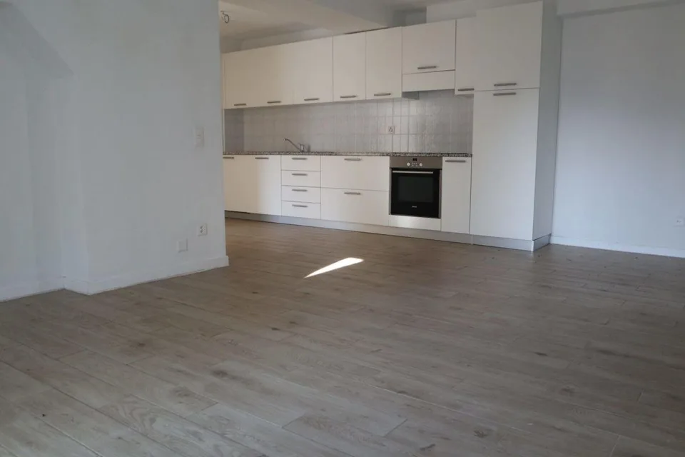 Interessante e nuova palazzina a reddito immersa nel verde, Olivone