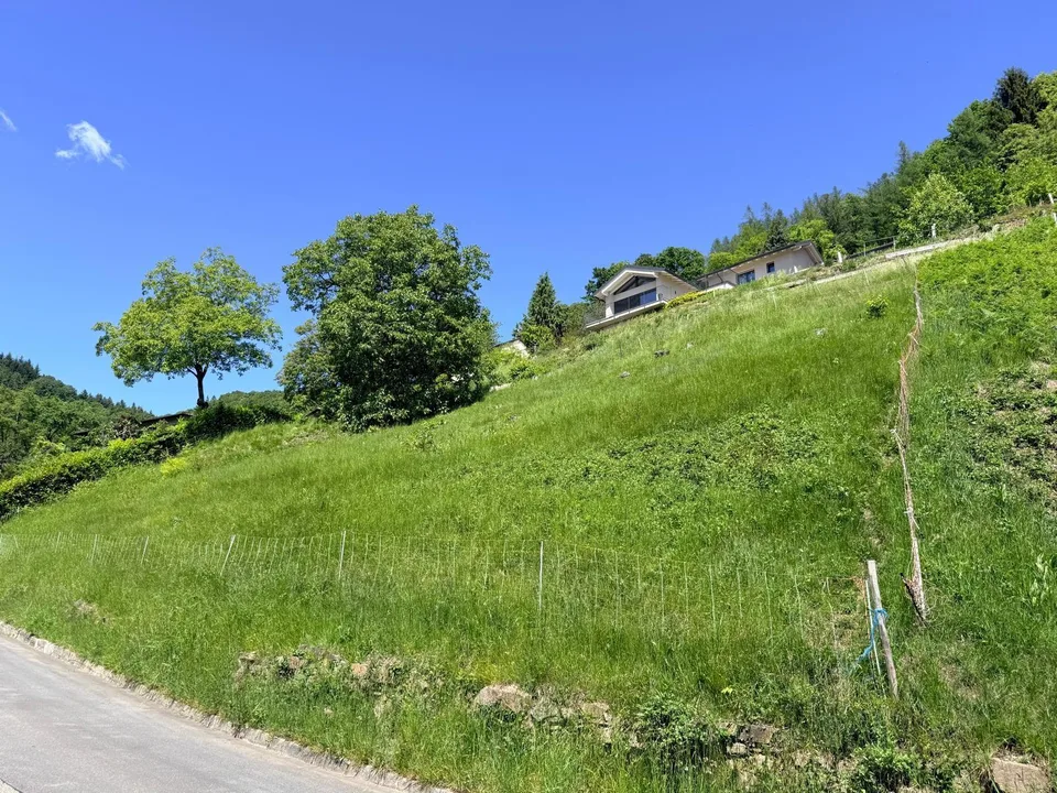 TERRENO EDIFICABILE DI 1237 MQ CON VISTA PANORAMICA - ARANNO