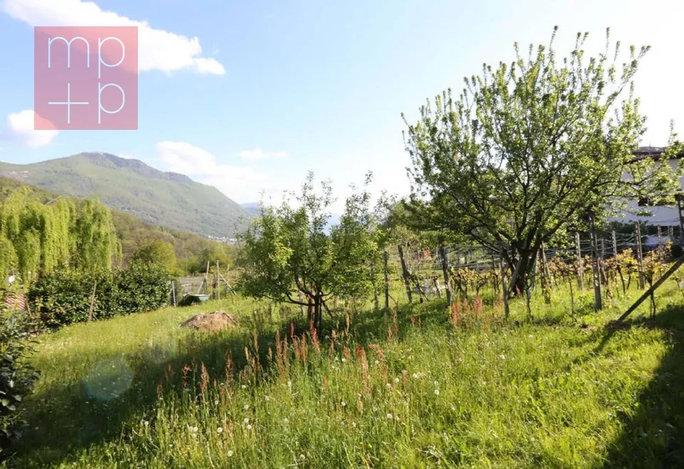 Terreno per costruire - Lopagno