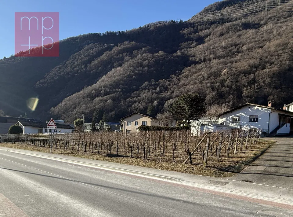 Terreno per costruire - Gnosca – Foto 7 von 8