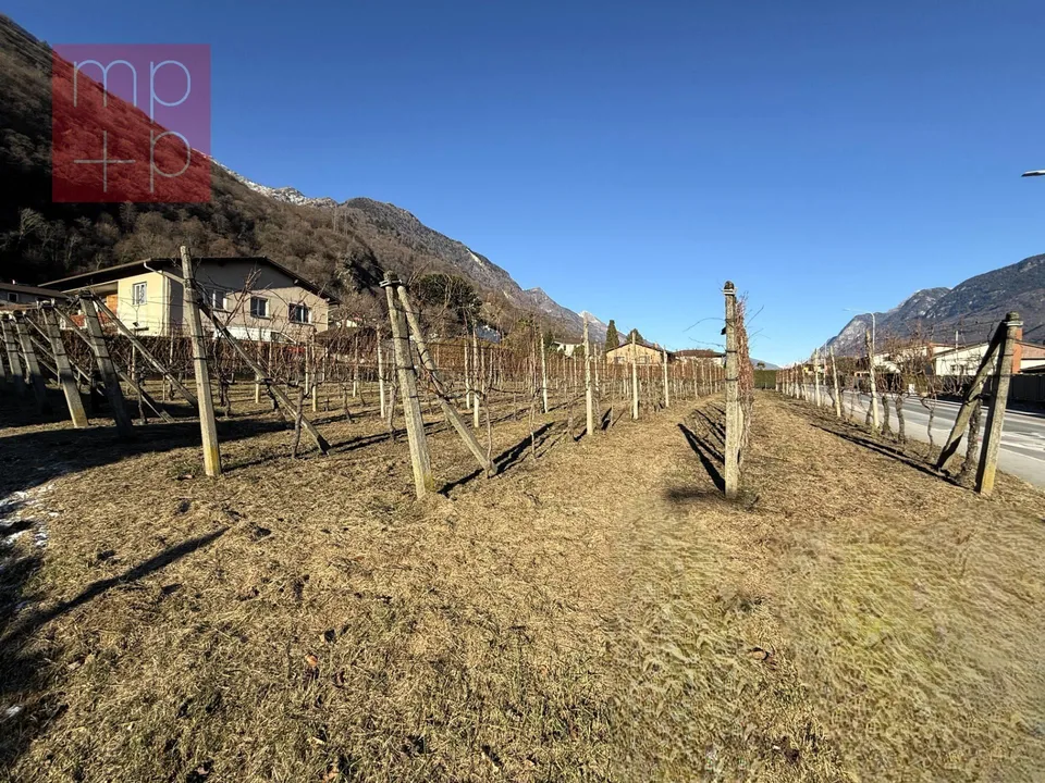 Terreno per costruire - Gnosca