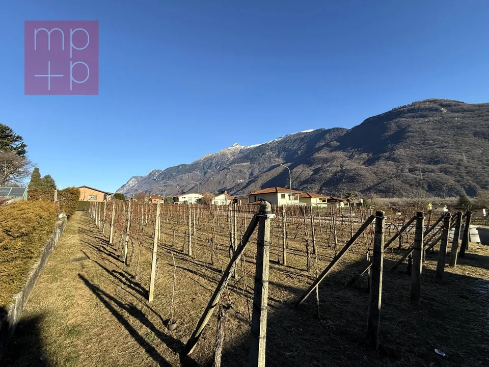 Terreno per costruire - Gnosca
