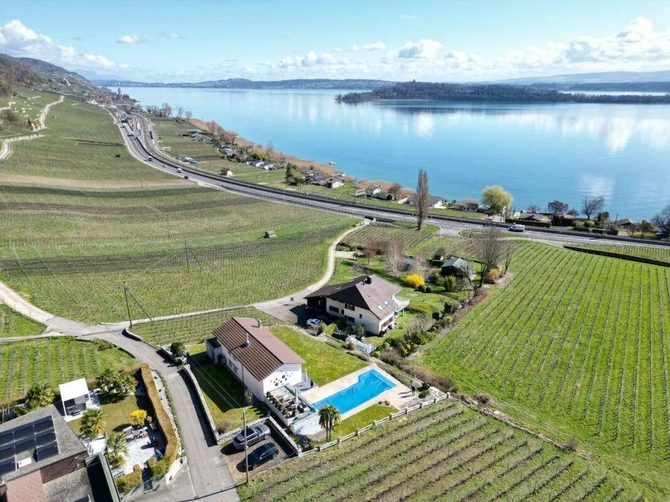 Villa d'exception avec vue spectaculaire  sur le lac et l'île St. P...