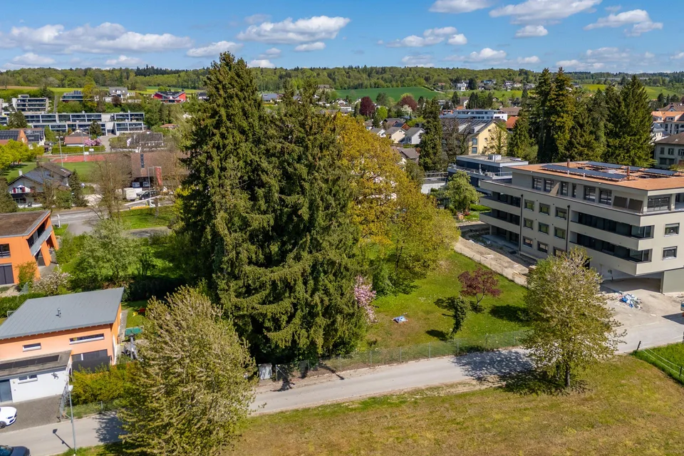 Zentrumsnahes Baugrundstück - Wohnen im Rosengarten