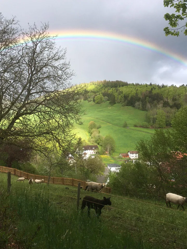 Ein Rückzugsort mit Seele – Sommerhaus in Langenbruck