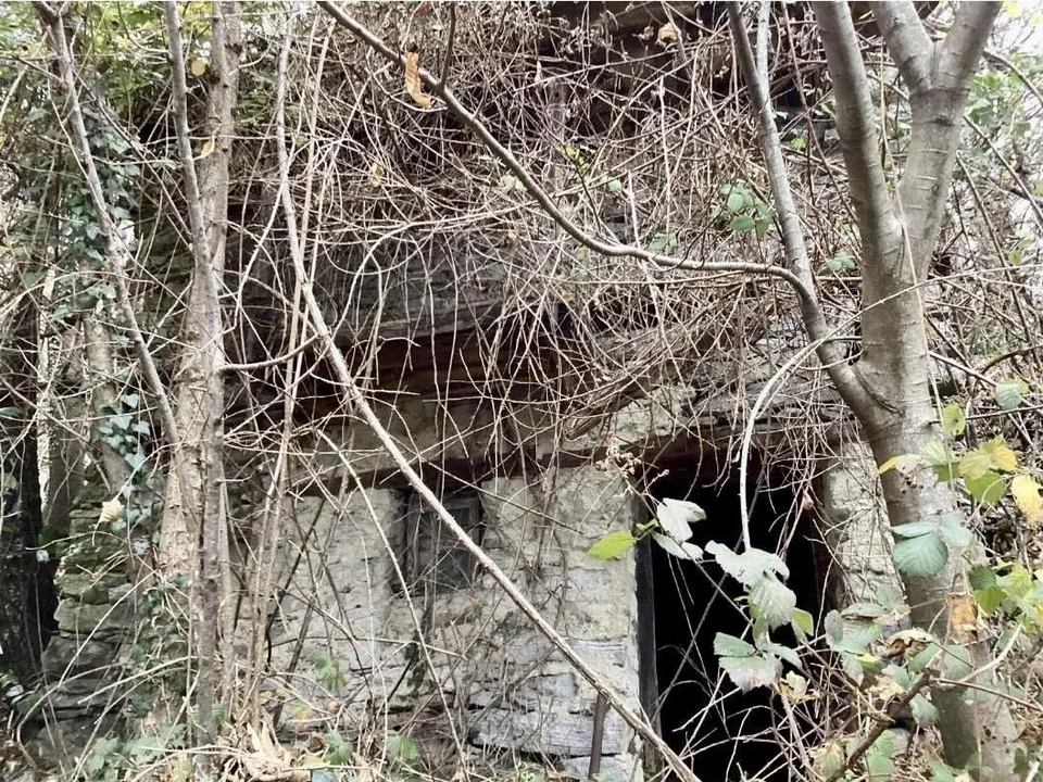 2-Zimmer-Rustico zum Ausbauen am Waldrand, sehr ruhig, sonnig mit S...