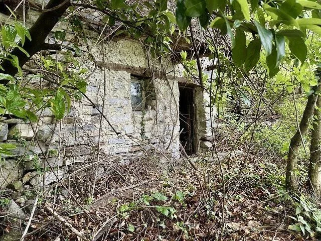 2-Zimmer-Rustico zum Ausbauen am Waldrand, sehr ruhig, sonnig mit S...