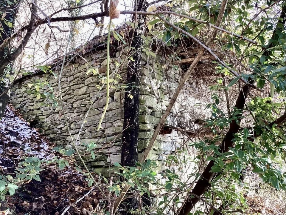 2-Zimmer-Rustico zum Ausbauen am Waldrand, sehr ruhig, sonnig mit S...