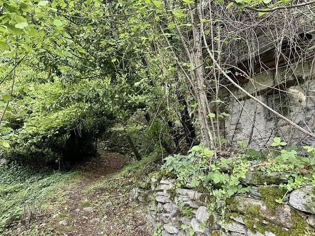 2-Zimmer-Rustico zum Ausbauen am Waldrand, sehr ruhig, sonnig mit S... – Foto 12 von 19