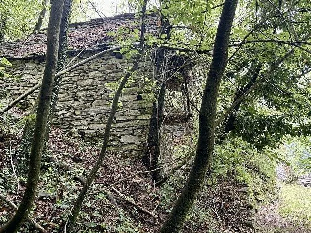 2-Zimmer-Rustico zum Ausbauen am Waldrand, sehr ruhige, sonnige Lag...