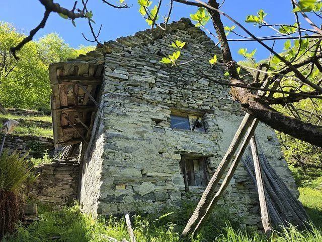 4 stalle da rinnovare con grante terreno, vista lago, in una posizi... – Foto 17 von 27