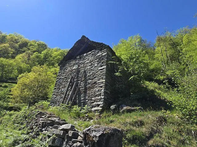 4 stalle da rinnovare con grante terreno, vista lago, in una posizi... – Foto 22 von 27