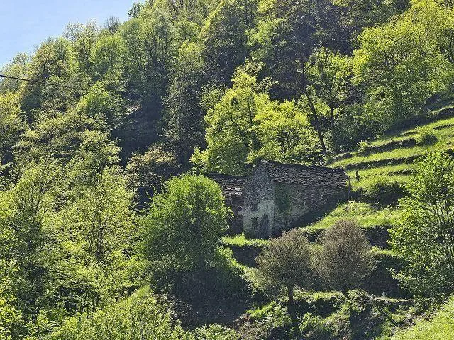 4 stalle da rinnovare con grante terreno, vista lago, in una posizi... – Foto 11 von 27