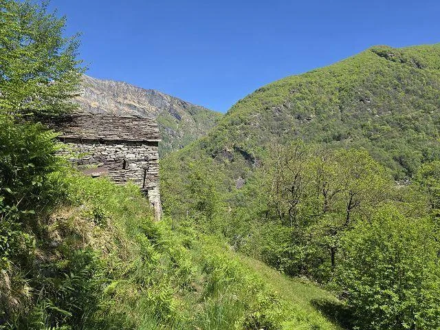 4 stalle da rinnovare con grante terreno, vista lago, in una posizi... – Foto 12 von 27