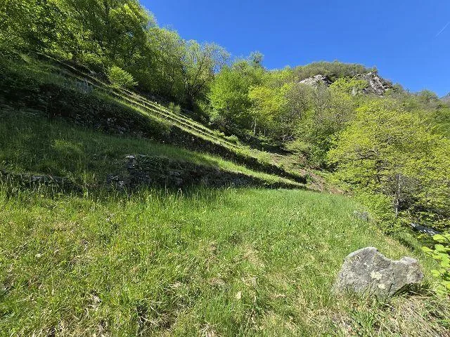 4 stalel da rinnovare con grante terreno, vista lago, in una posizi... – Foto 13 von 27