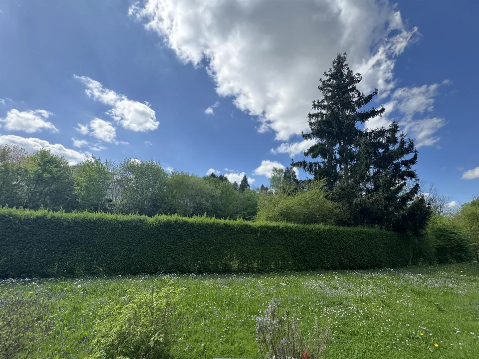 Zwischen Stadtpulse und Naturidylle – Foto 10 von 10