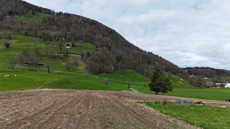 Bauland in Rüthi SG – 1’170 m² für EFH oder Doppel-EFH