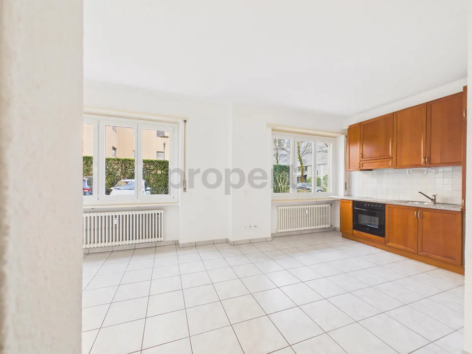 Spazioso 1.5 locali single-room ben collegato ai servizi, Lugano