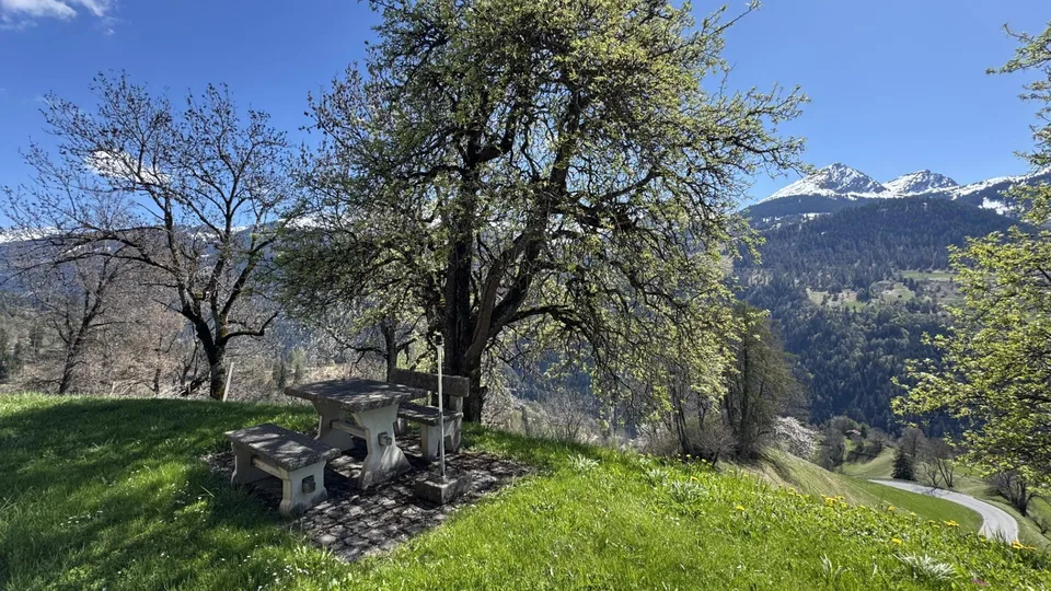 Charmante 3.5-Zimmerwohnung mit traumhaftem Bergpanorama in Castiel – Foto 10 von 12