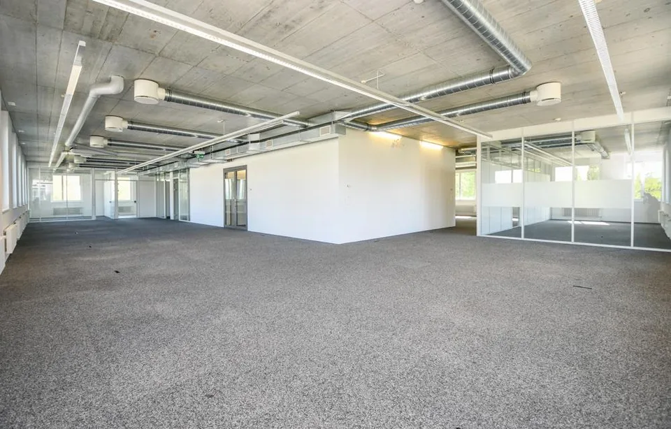 Büro, Lager, Produktion, Wohnen - alles unter einem Dach – Foto 7 von 10
