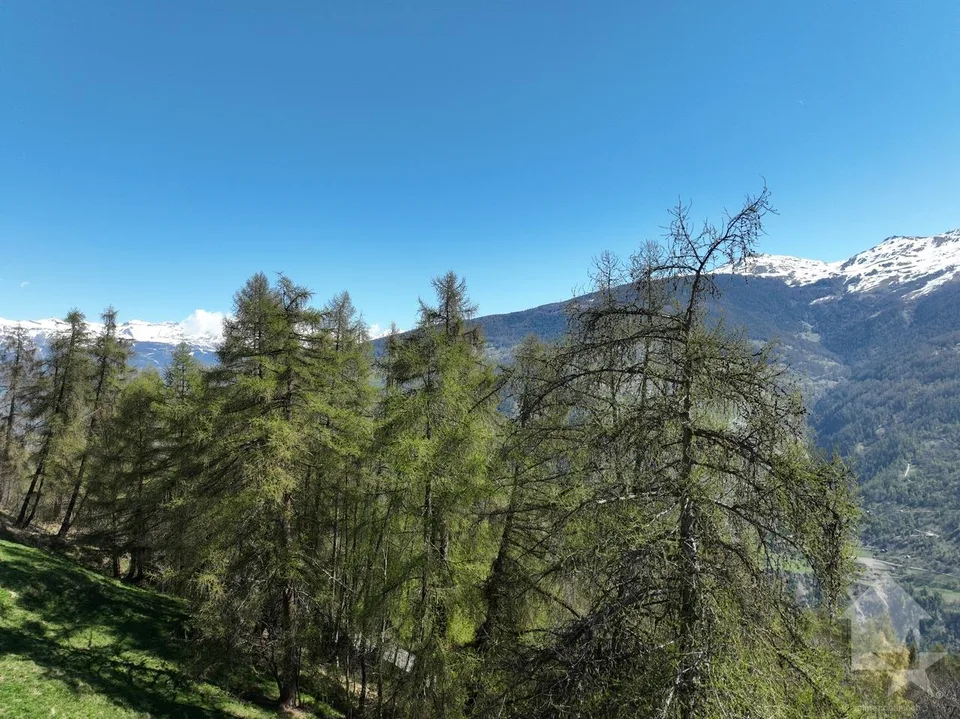 Terrain aux Masses avec vue dégagée