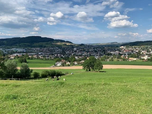 Bauland mit bewilligten Einfamilienhaus und Pool