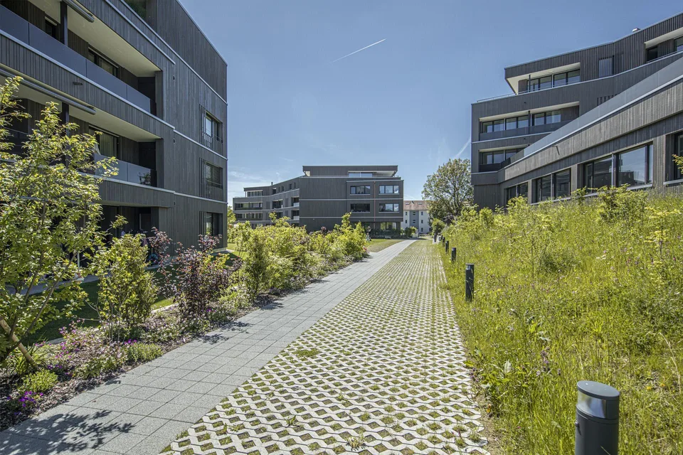 Penthouse - stilvoll wohnen im Grünen – photo 26 of 28